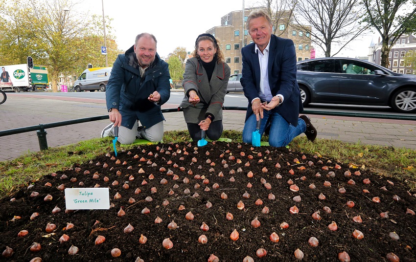 Rocco Piers (bestuurslid stadsdeel Amsterdam-Zuid), Ruth van Dijken (directeur The Green Mile) en Jaap Bond (voorzitter KAVB)  bij de geplante bloembollen aan de altijd drukke Stadhouderkade.