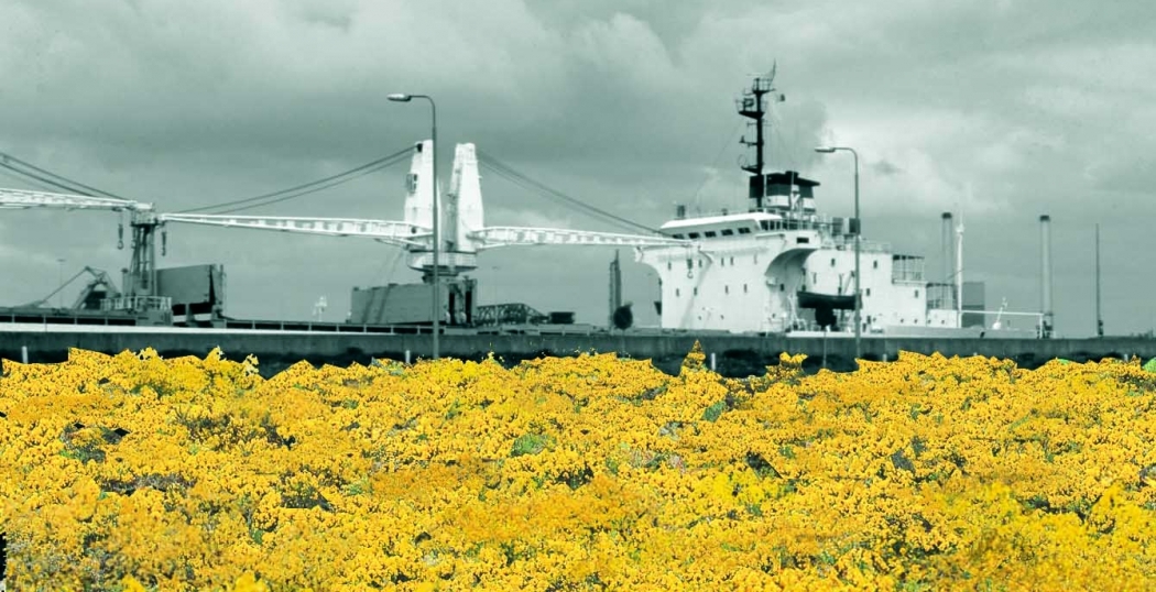 OpenIJ gaat nieuwe zeesluis IJmuiden bouwen