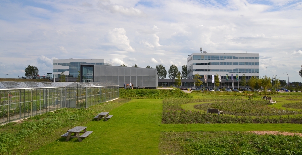 Park 20|20 in Hoofddorp opent moestuin en tijdelijke natuur