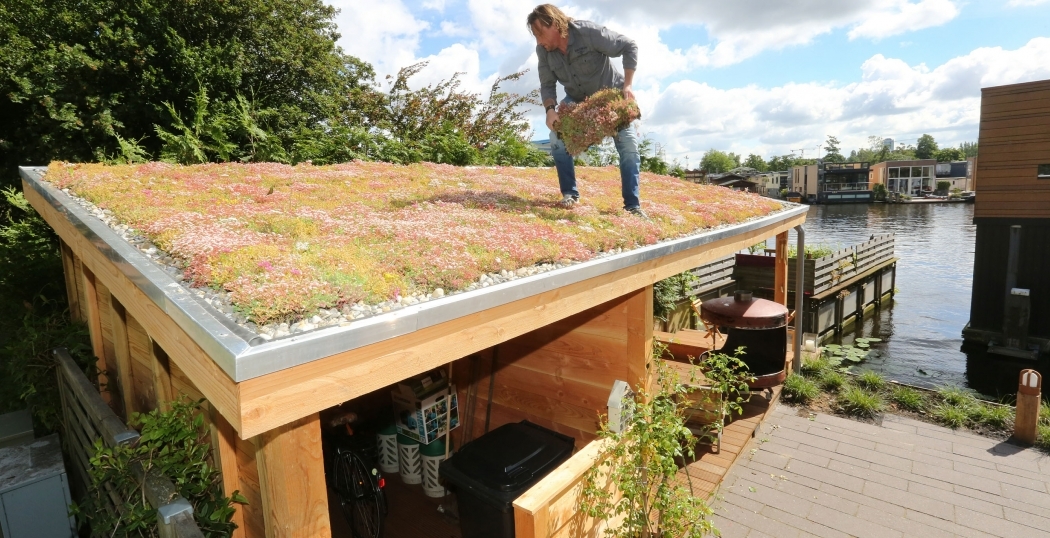 Ecodak op zichtlocatie