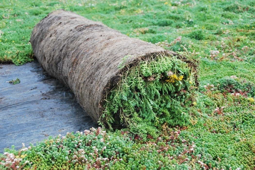 Verhoogde Noordzeebrug krijgt jas van bloemen