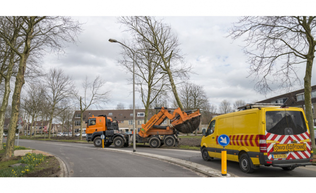 Verplanting 110 bomen meerwaarde nieuwbouwwijk