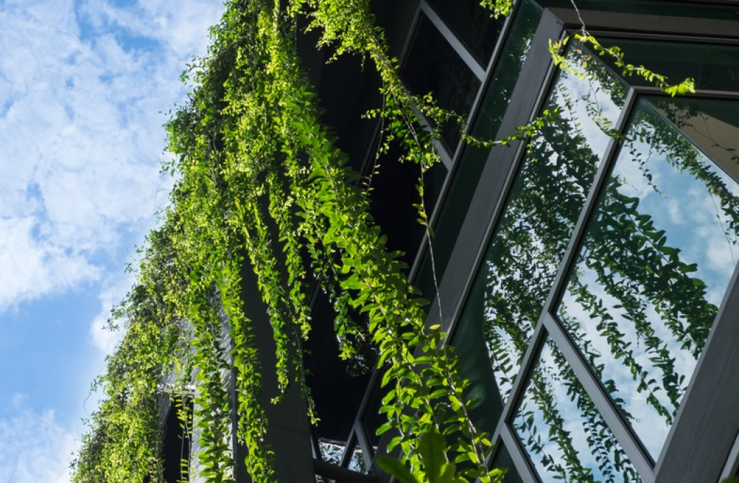 Verticale beplanting voor gezond leefklimaat