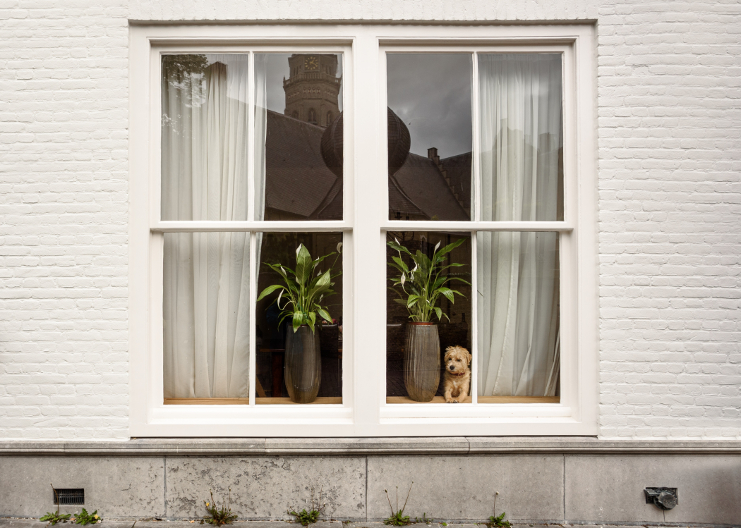 Steenvezelprofielen beschermen houten kozijnen duurzaam