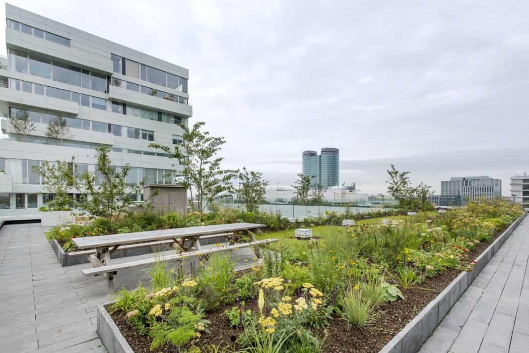 ‘Groen moet meer meegenomen worden in bouwplannen’