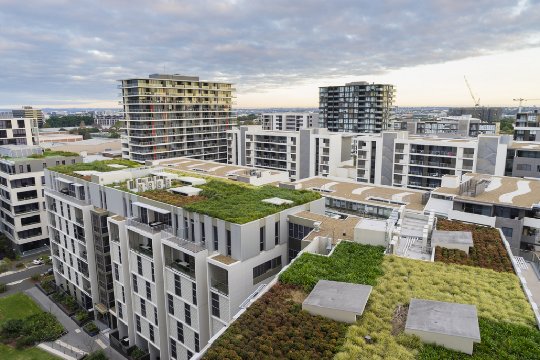 Servicepunt Duurzame Daken helpt Utrecht met groene daken