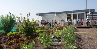 Stadslandbouwfestival ERGroeit in Rotterdam