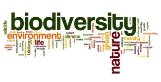 Expositie: Building with Biodiversity