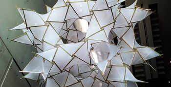 Alison Martin en VUB winnen IASS 2015 prijs