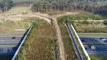 Overijssel: hogere ambitie natuurinclusief bouwen
