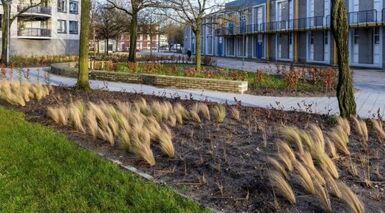 Persoonsdam, Rotterdam