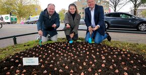 Rocco Piers (bestuurslid stadsdeel Amsterdam-Zuid), Ruth van Dijken (directeur The Green Mile) en Jaap Bond (voorzitter KAVB)  bij de geplante bloembollen aan de altijd drukke Stadhouderkade.
