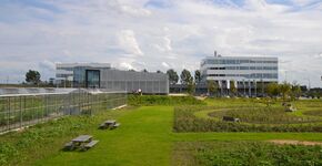 Park 20|20 in Hoofddorp opent moestuin en tijdelijke natuur