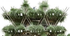 Rising Canes - modulaire structuur van bamboe