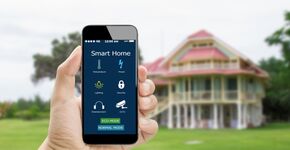 Wordt 2017 het jaar van de haantjes?