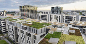 Servicepunt Duurzame Daken helpt Utrecht met groene daken