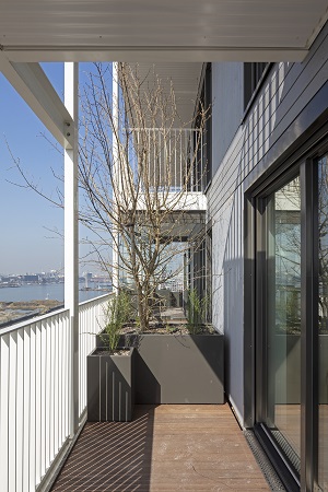 Balkon Stories