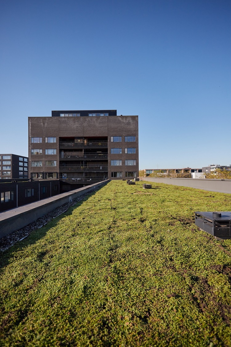 Topgroen