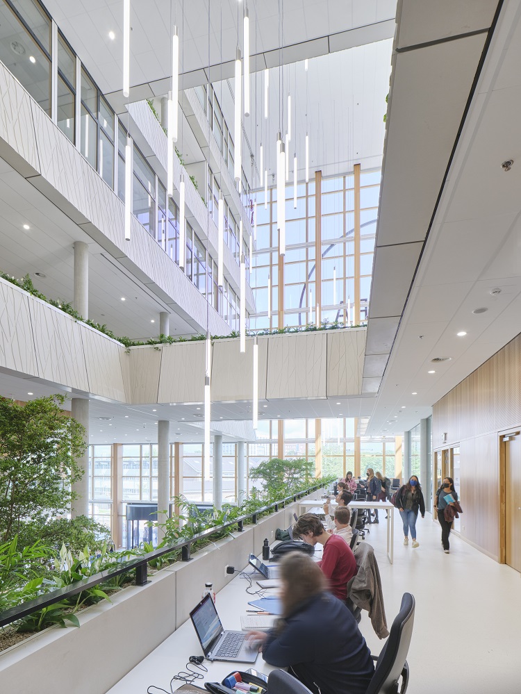 Atrium Aurora