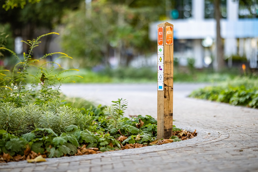 Wandelnetwerk Zwolle