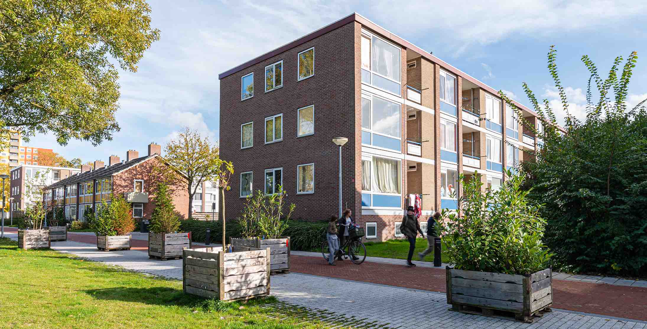 Herinrichting Selwerd