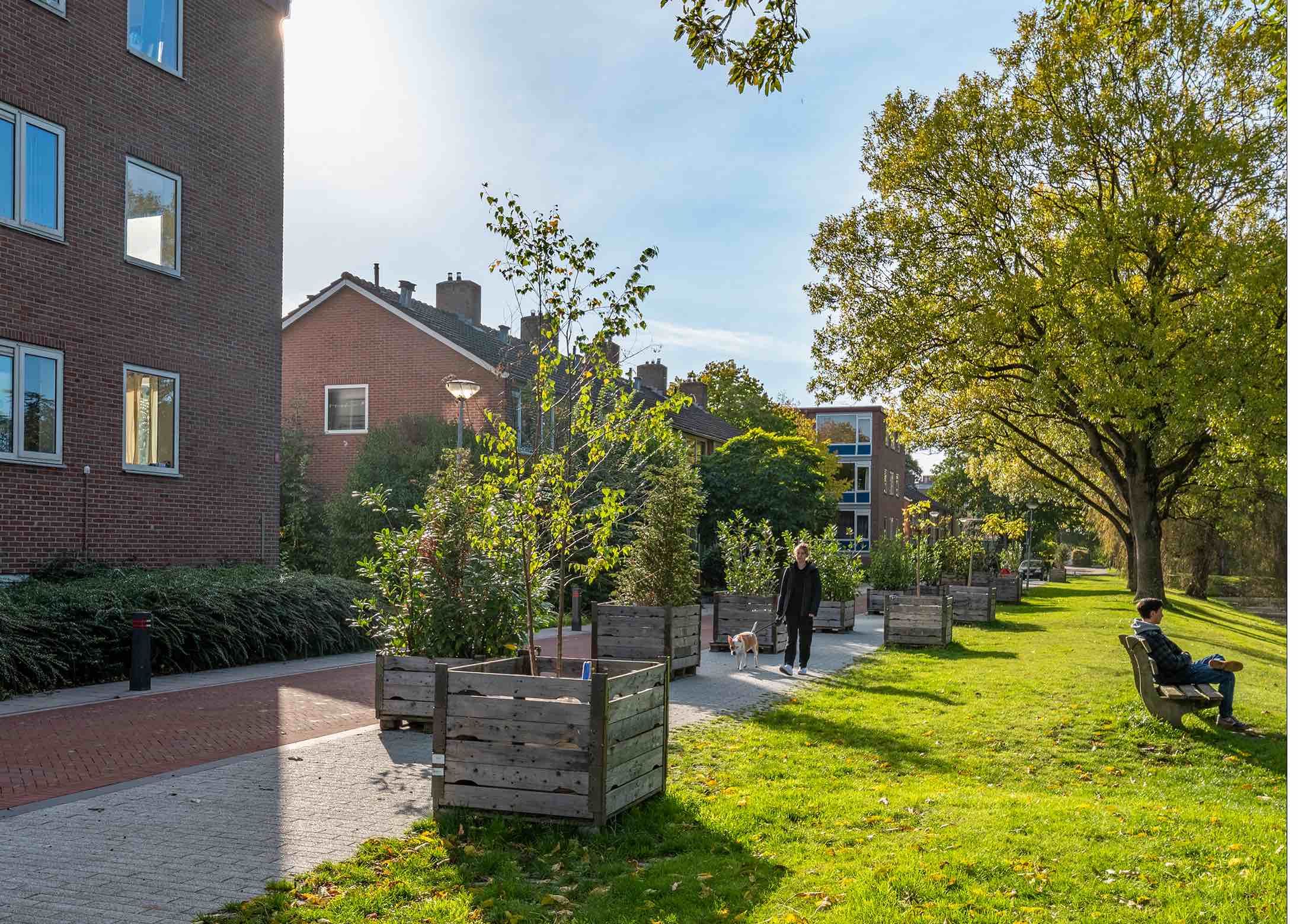 Herinrichting Selwerd Groen