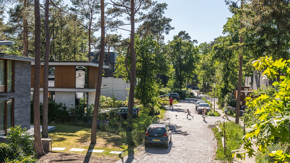 Kerckebosch straat